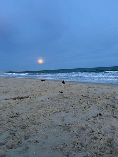 Whale Song Beach House