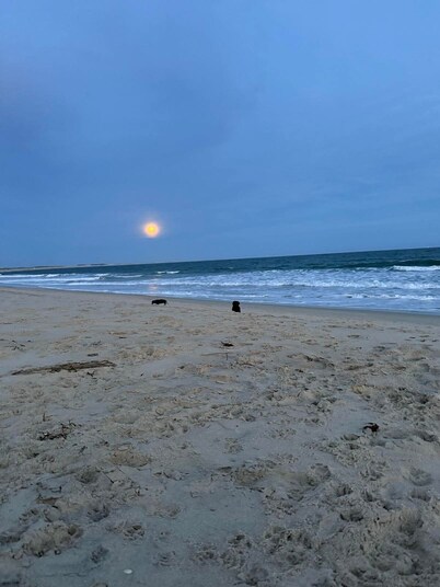 Whale Song Beach House