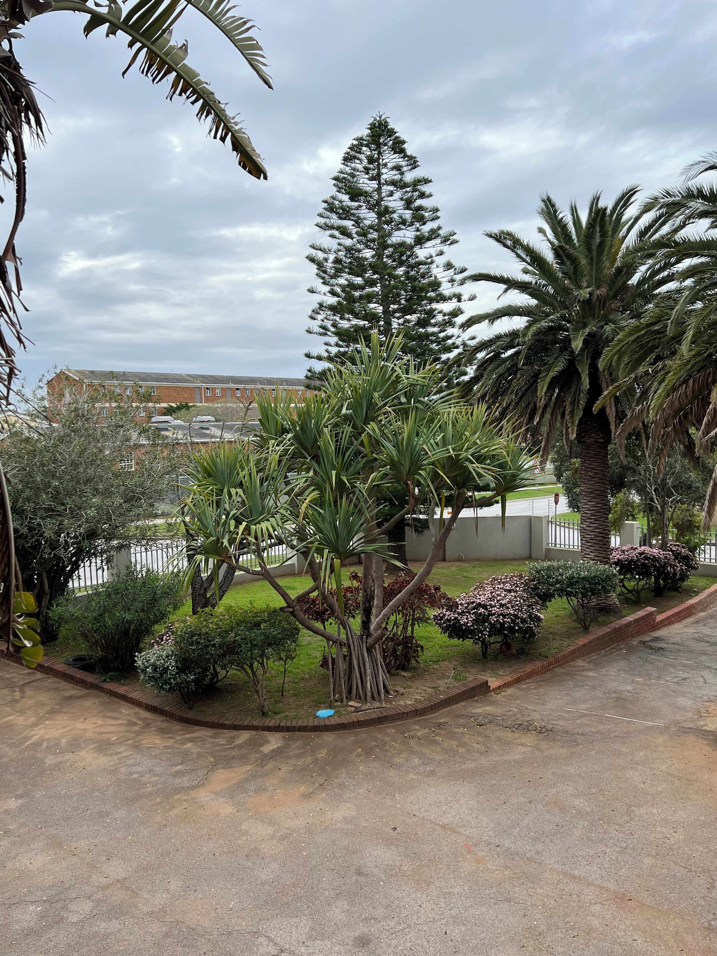 Comfort Double Room | Balcony view
