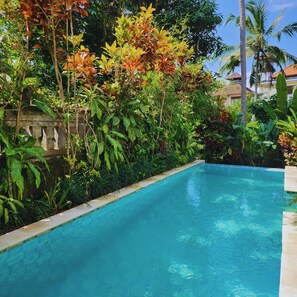 Deluxe Villa, 3 Bedrooms, Private Pool, Garden View | Private pool - Danaya's villa (Ubud)