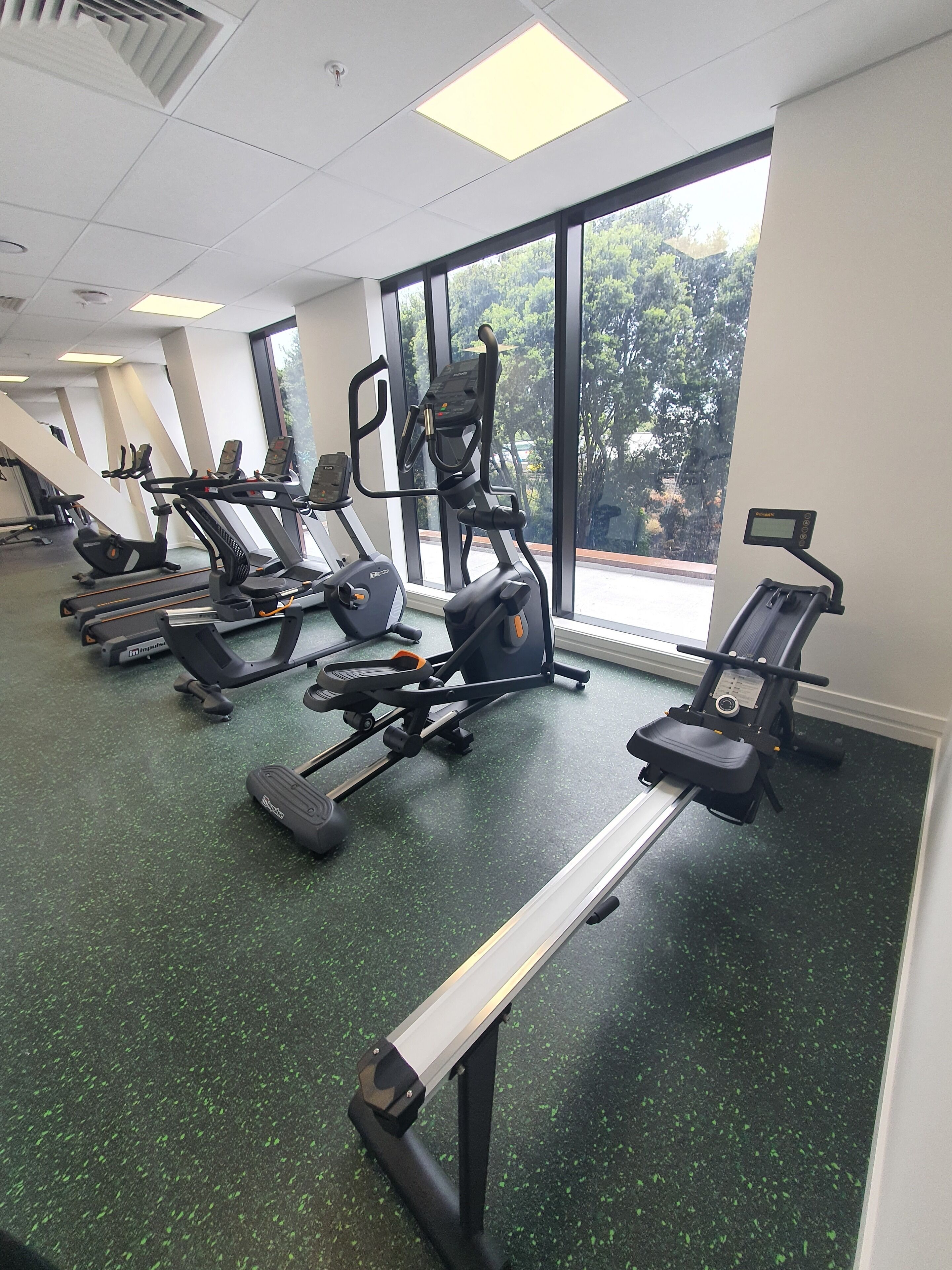 A gym with treadmills, elliptical machines, and a bench press.