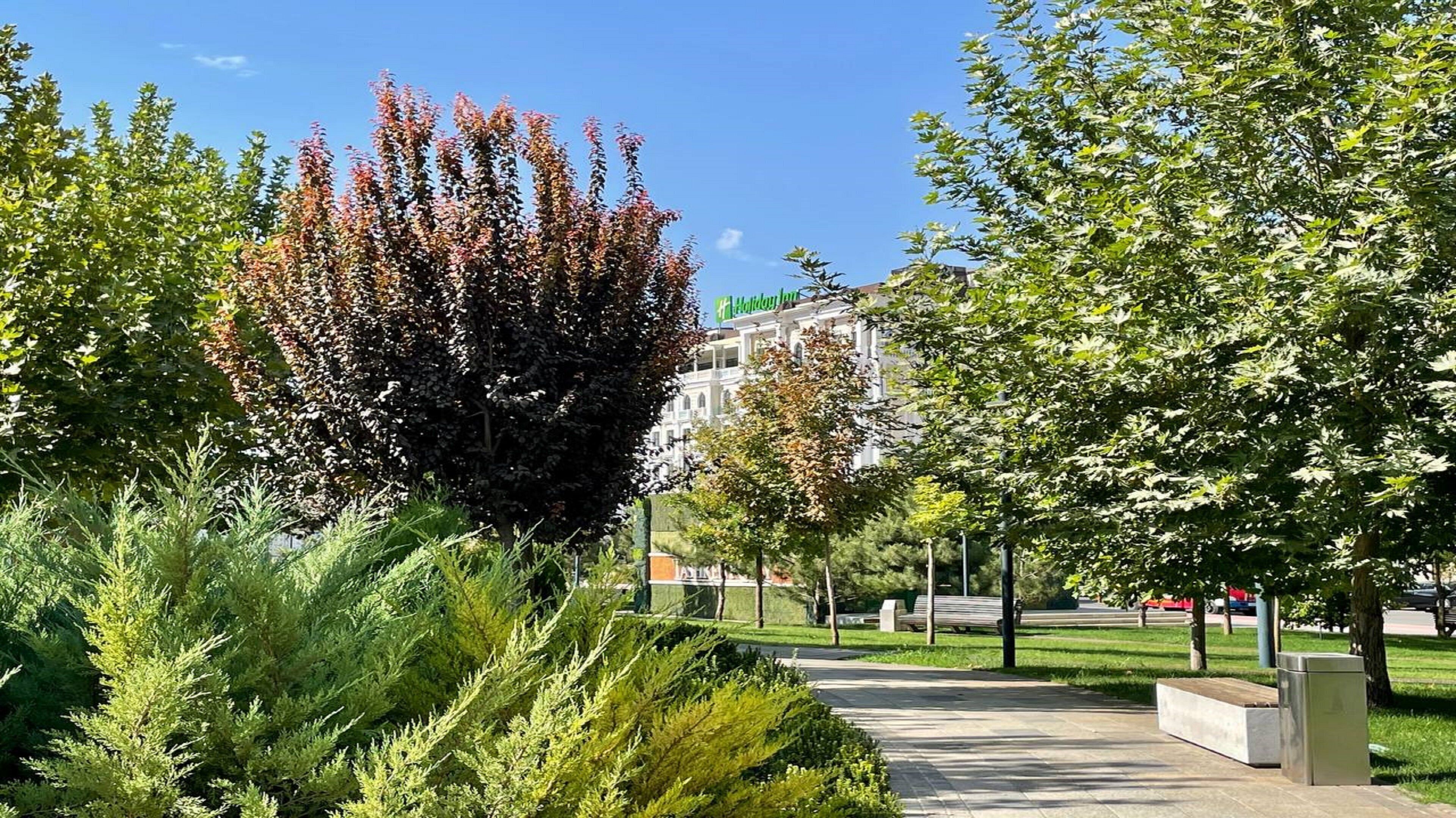 Un espace aménagé avec un sentier, des bancs et des arbres.