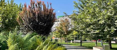 Un espace aménagé avec un sentier, des bancs et des arbres.