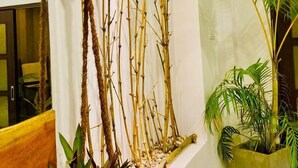 A room with a vertical bamboo arrangement, a mirror, and a potted plant. - The Jini House - Kabalana (Ahangama)