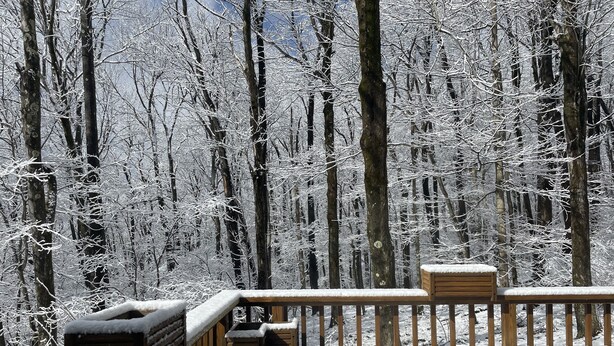 Una terraza de madera con un banco y una pequeña mesa, rodeada de árboles cubiertos de nieve.