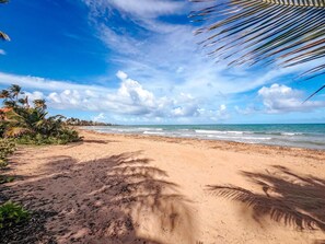 Playa en los alrededores 
