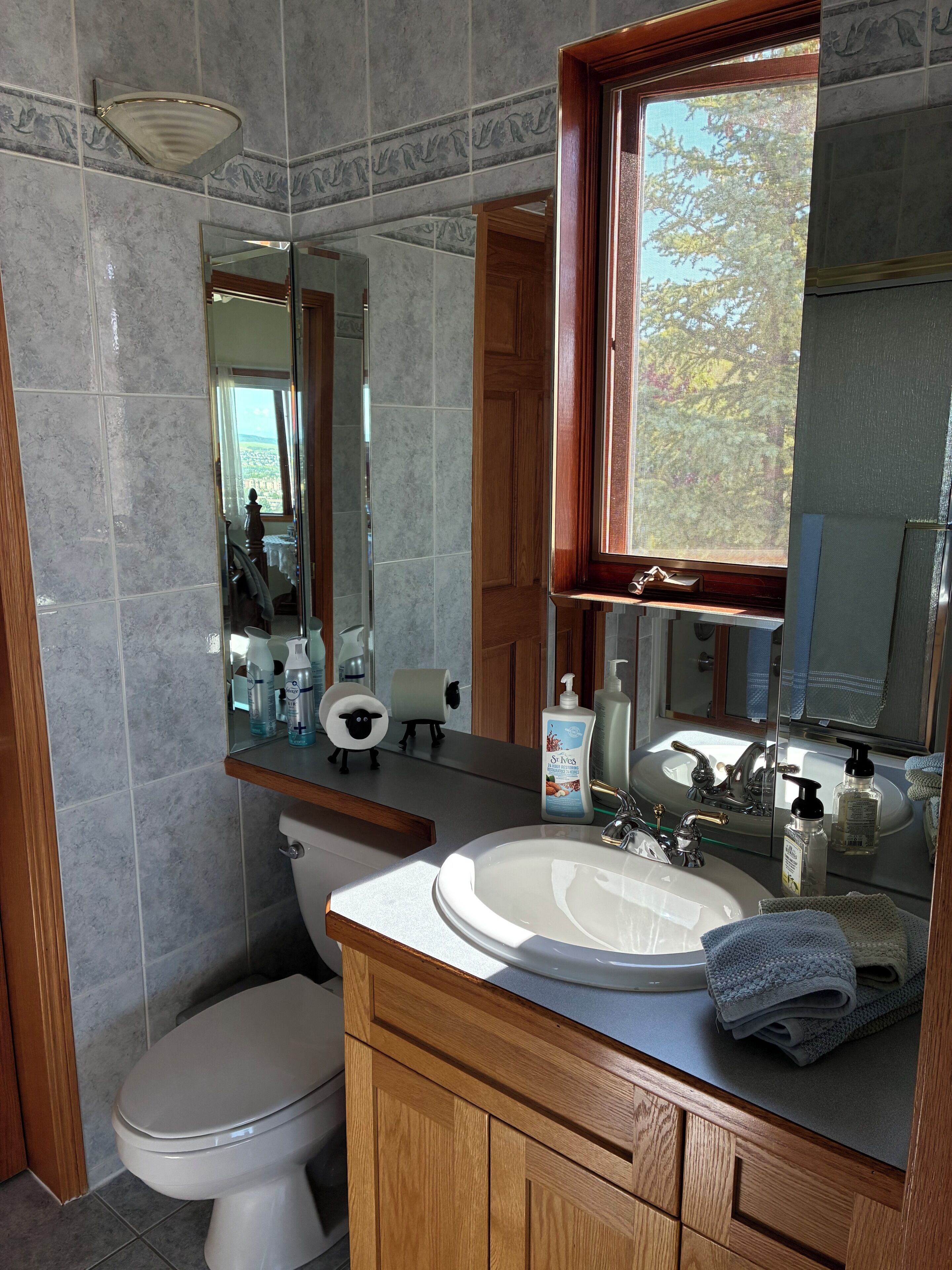A bathroom with a white toilet, a wooden vanity, a sink with a mirror above it, and toiletries on the counter.