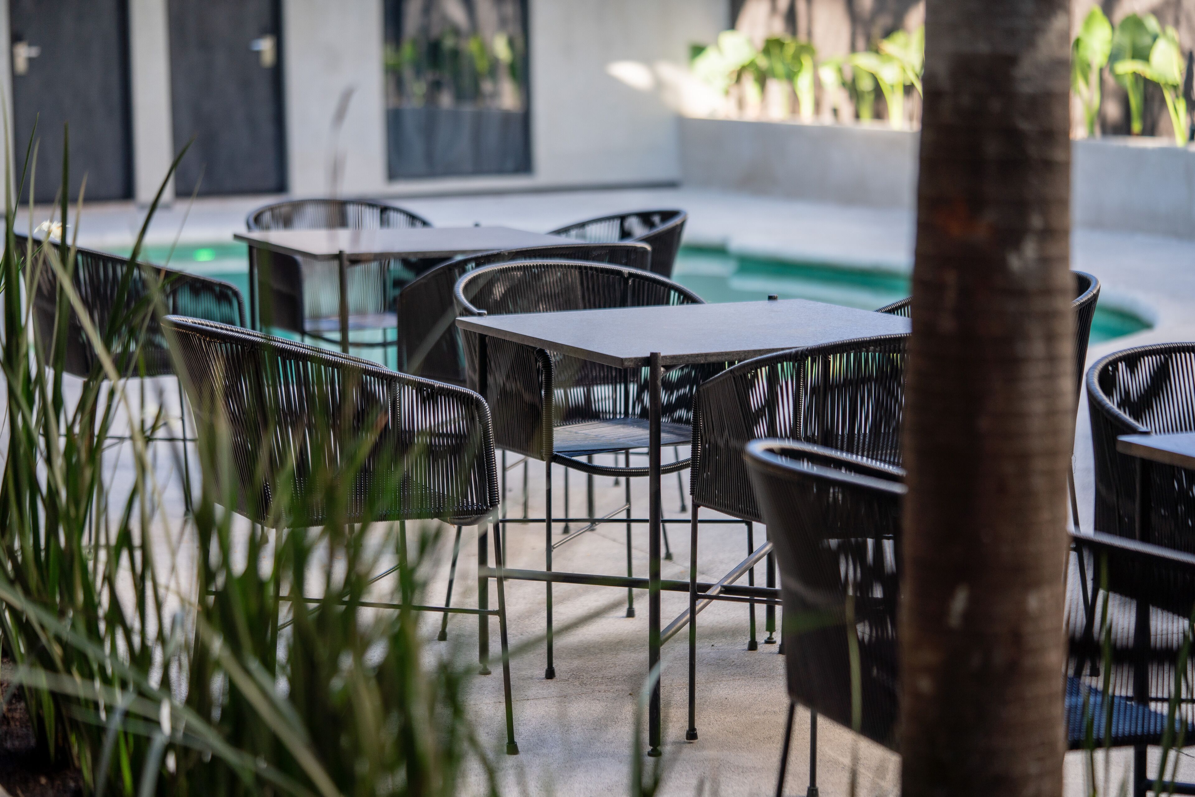 Photo - Hotel Alcala Expo