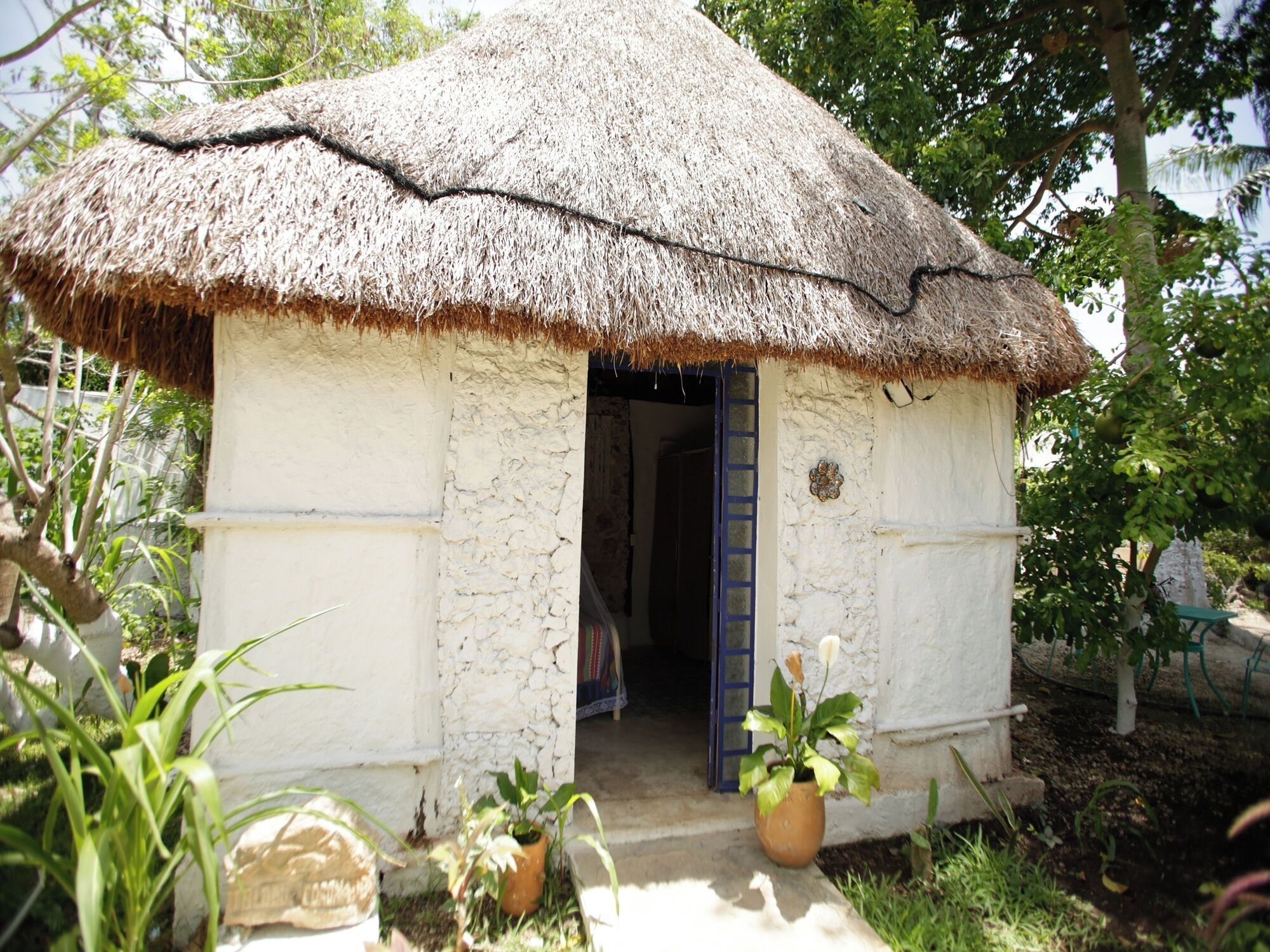A small, single-story building with a thatched roof, a visible door, and a small garden area with potted plants.