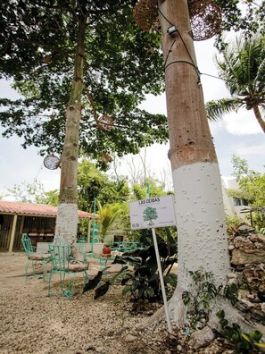 A tree with a sign indicating 'Las Ceibas' and a small outdoor seating area with chairs.