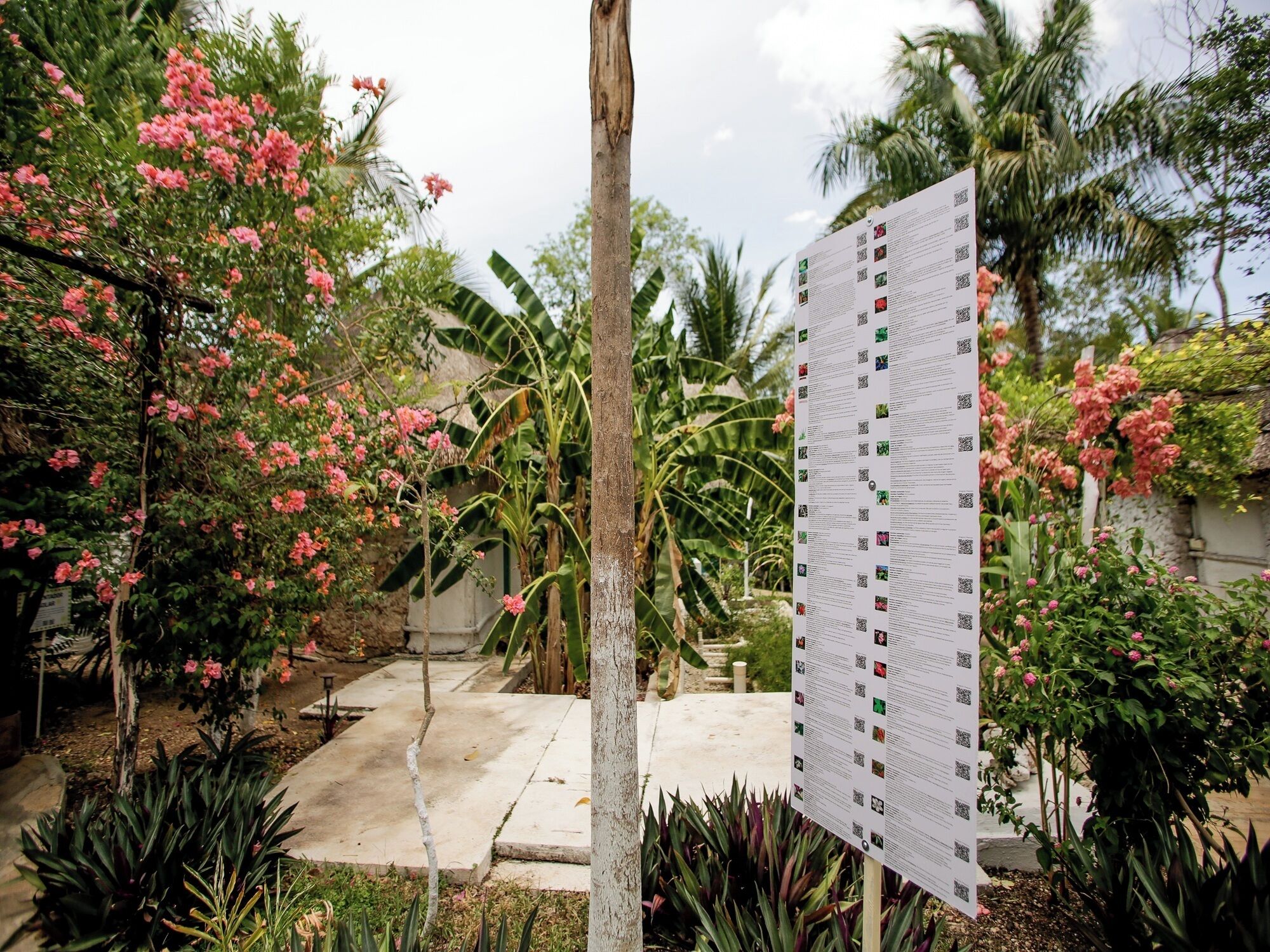 Un jardin agrémenté de fleurs roses, un chemin en béton et un panneau d’affichage avec des codes QR.