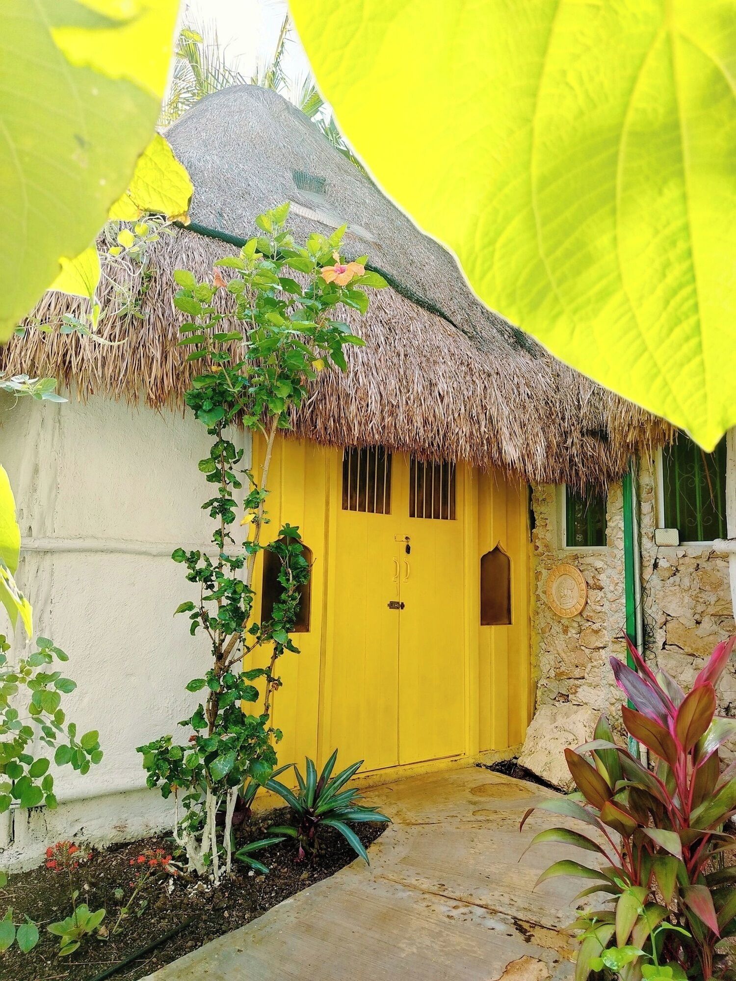 A thatched-roof house with a yellow door, surrounded by plants and a stone wall.
