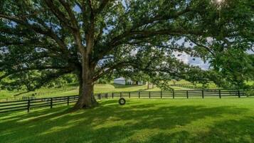 Overnattingsstedets uteområder