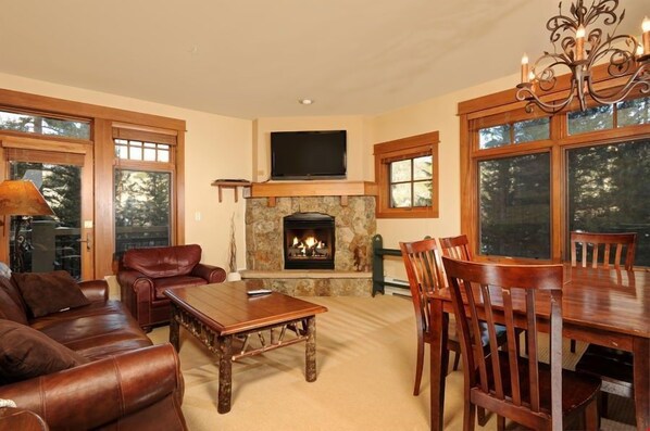 TV, fireplace, DVD player