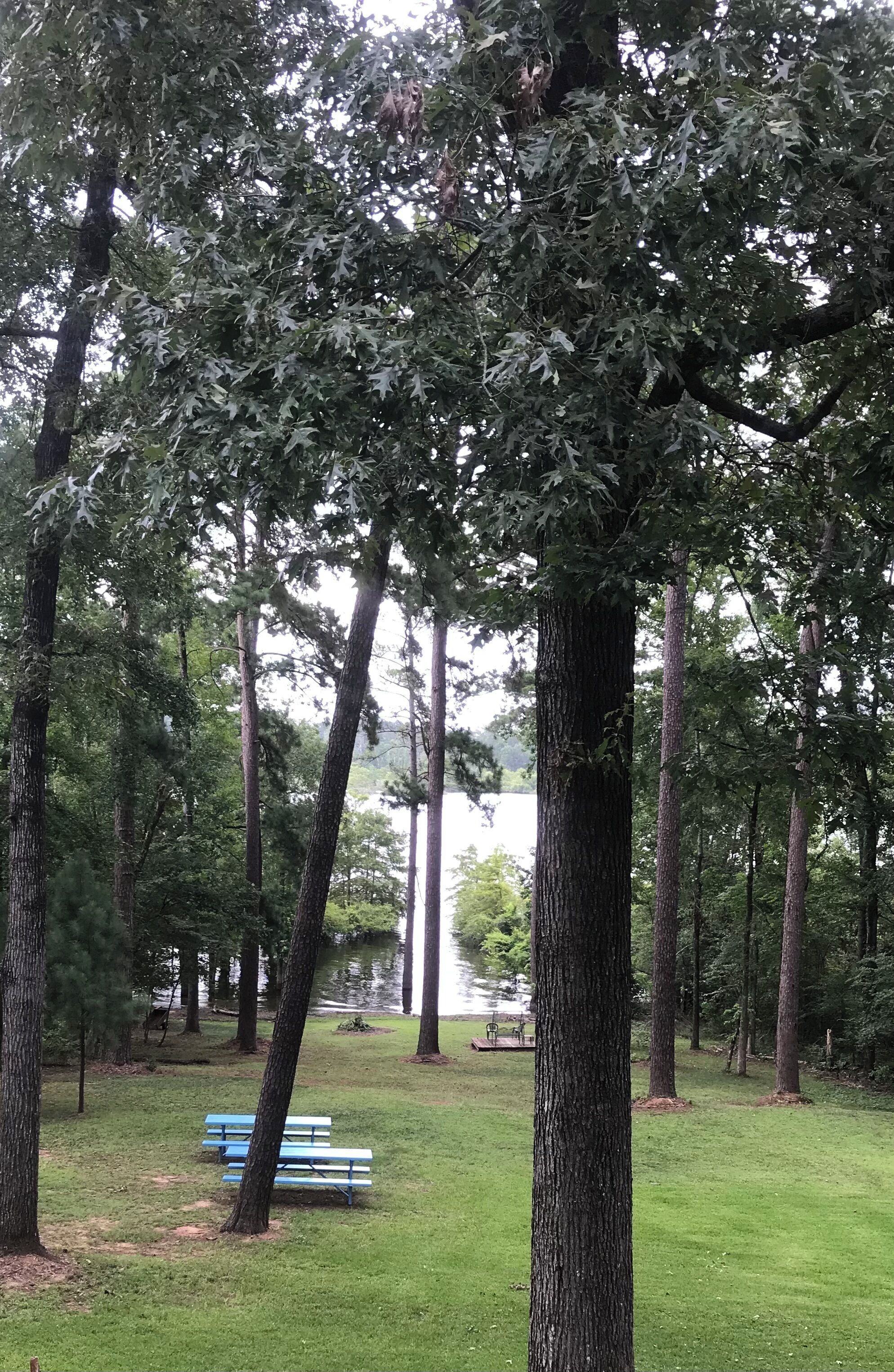 Waterfront home on a beautiful wooded, private1 acre lot on Sam Rayburn.  