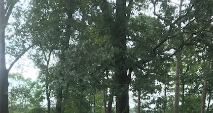 Waterfront home on a beautiful wooded, private1 acre lot on Sam Rayburn.