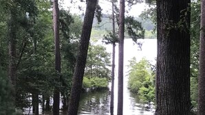 Ein Park mit einem See, Bänken und hohen Bäumen.