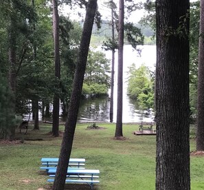Property grounds - Waterfront home on a beautiful wooded, private1 acre lot on Sam Rayburn.   (Broaddus)