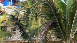 A bungalow with a wooden balcony, surrounded by palm trees and a well-maintained lawn. - Hosteria de Kade (Manglaralto)