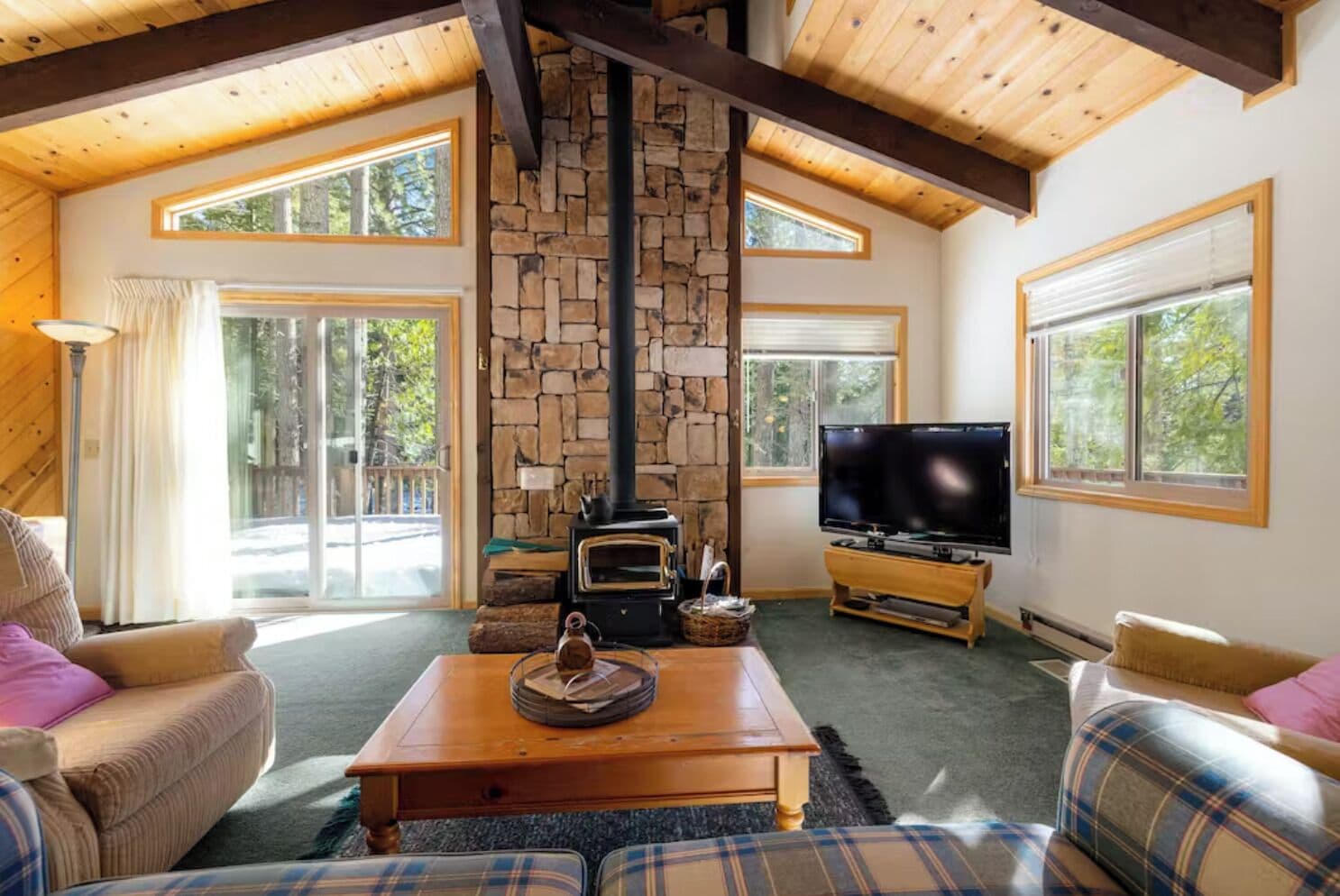 Smart TV, chimenea, reproductor de DVD y libros 