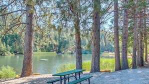 Un área de picnic con bancos y una mesa, rodeada de altos árboles y un lago.