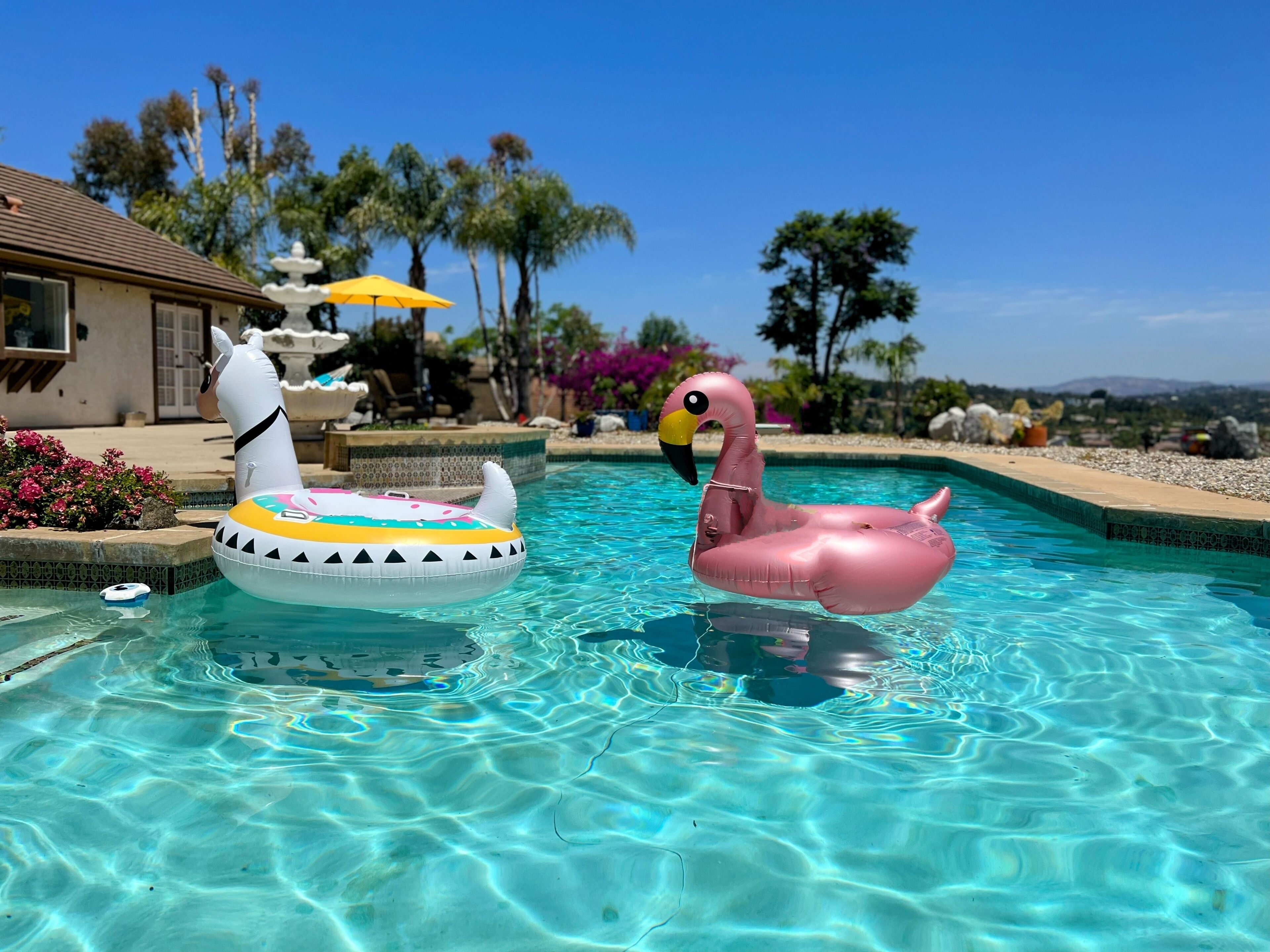 Een zwembad met twee opblaasbaar speelgoed: een witte zwaan en een roze flamingo, en een fontein op de achtergrond.