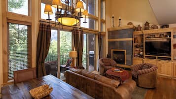 TV, fireplace, books