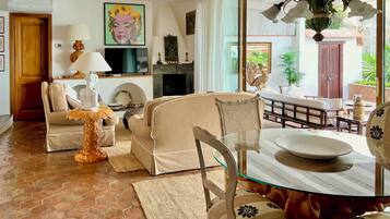 Smart TV, fireplace, books