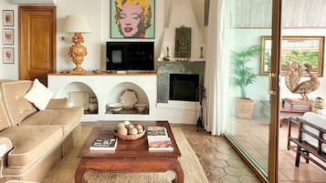 TV connectée, cheminée, livres