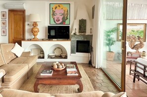 Smart TV, fireplace, books