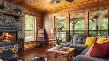 Smart-tv, pejs, bøger