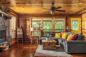 Smart TV, fireplace, books