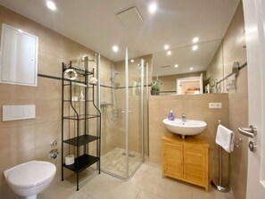 Regadera, secadora de cabello, toallas