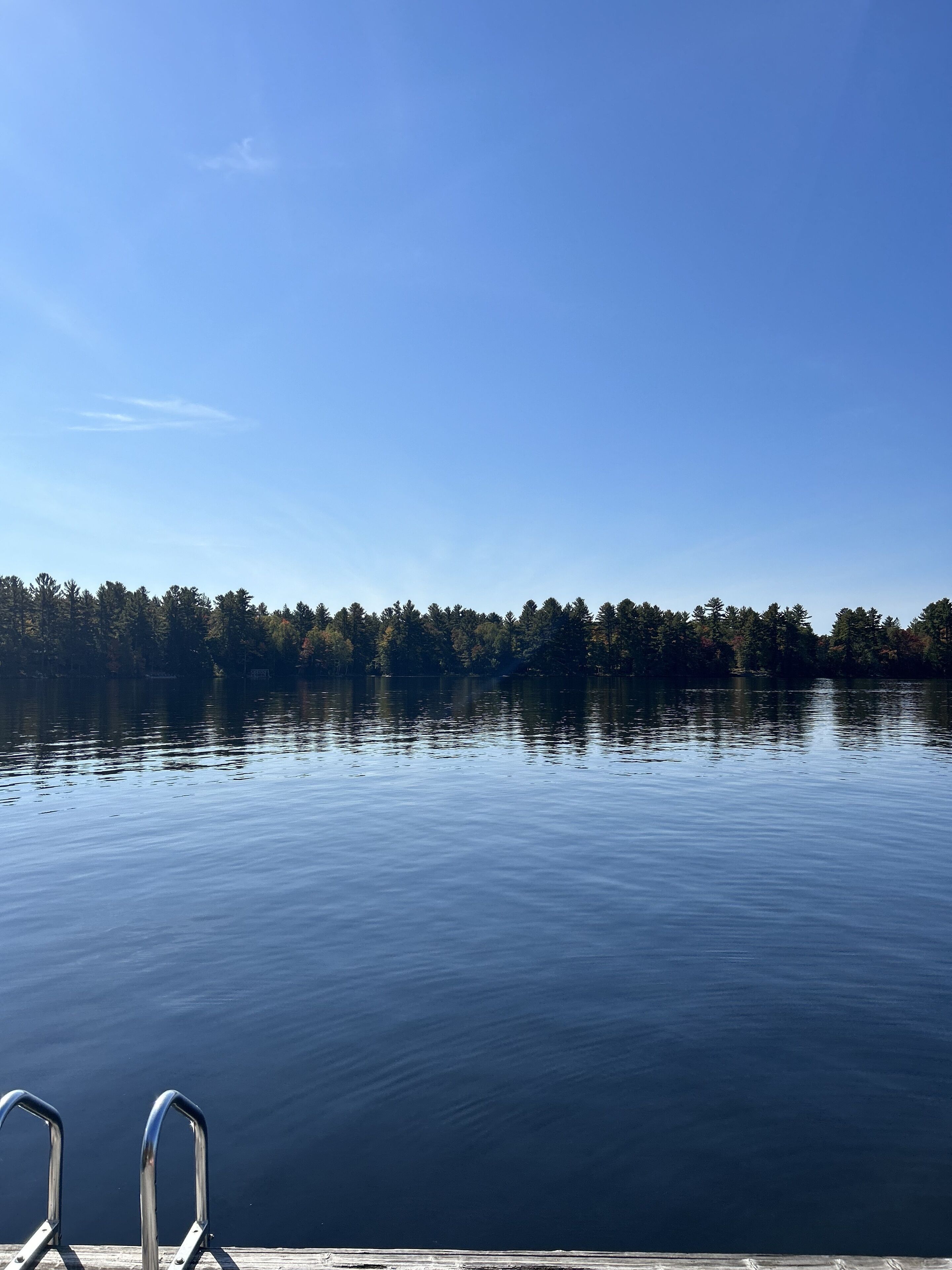 A calm lake with a dock and metal railings.