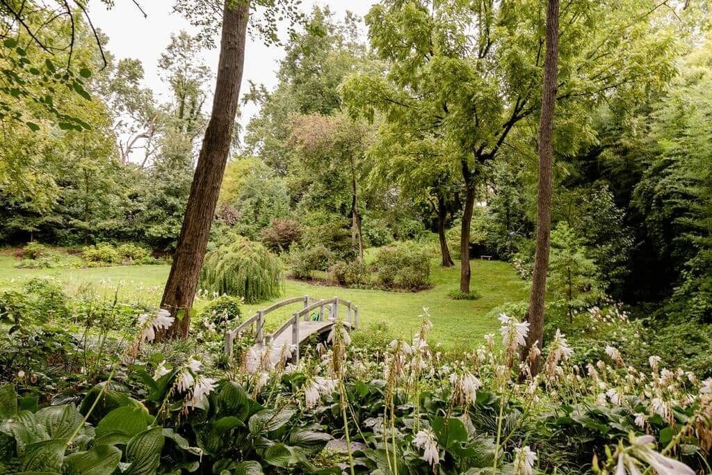Ein Garten mit einer Holzbrücke, üppigem Grün und verschiedenen Pflanzen.