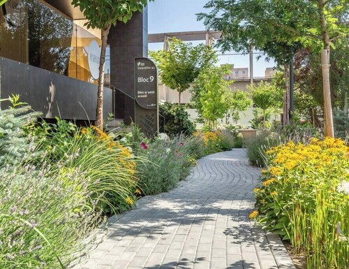 Urban Plaza Alpine Escape Studio