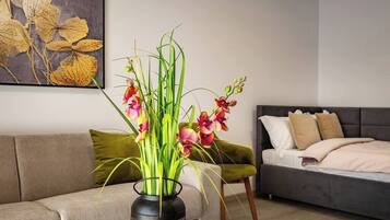 1 chambre, bureau, fer et planche à repasser, lit parapluie