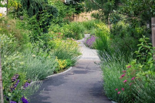 Urban Plaza Alpine Escape Studio