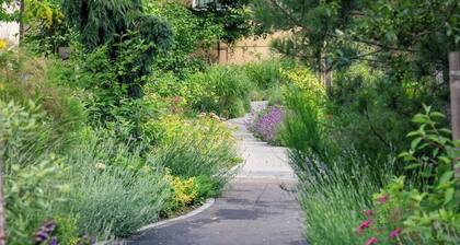 Urban Plaza Alpine Escape Studio