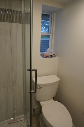 Shower, towels, toilet paper