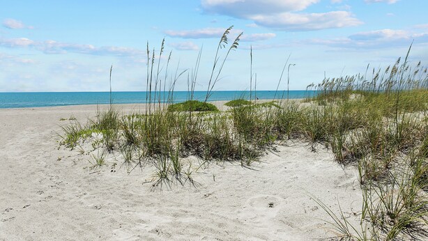 A sandy beach with tall grasses and a clear blue sky. - Oceanfront Condo with Rocket Launch Views - Steps to Beach (Cocoa Beach)