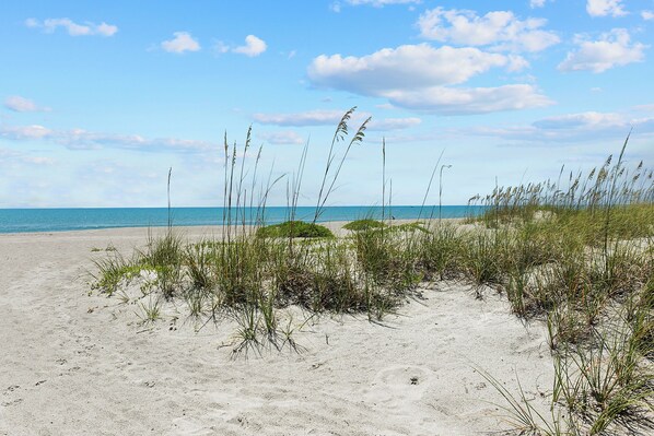 Plage, chaises longues, serviettes de plage