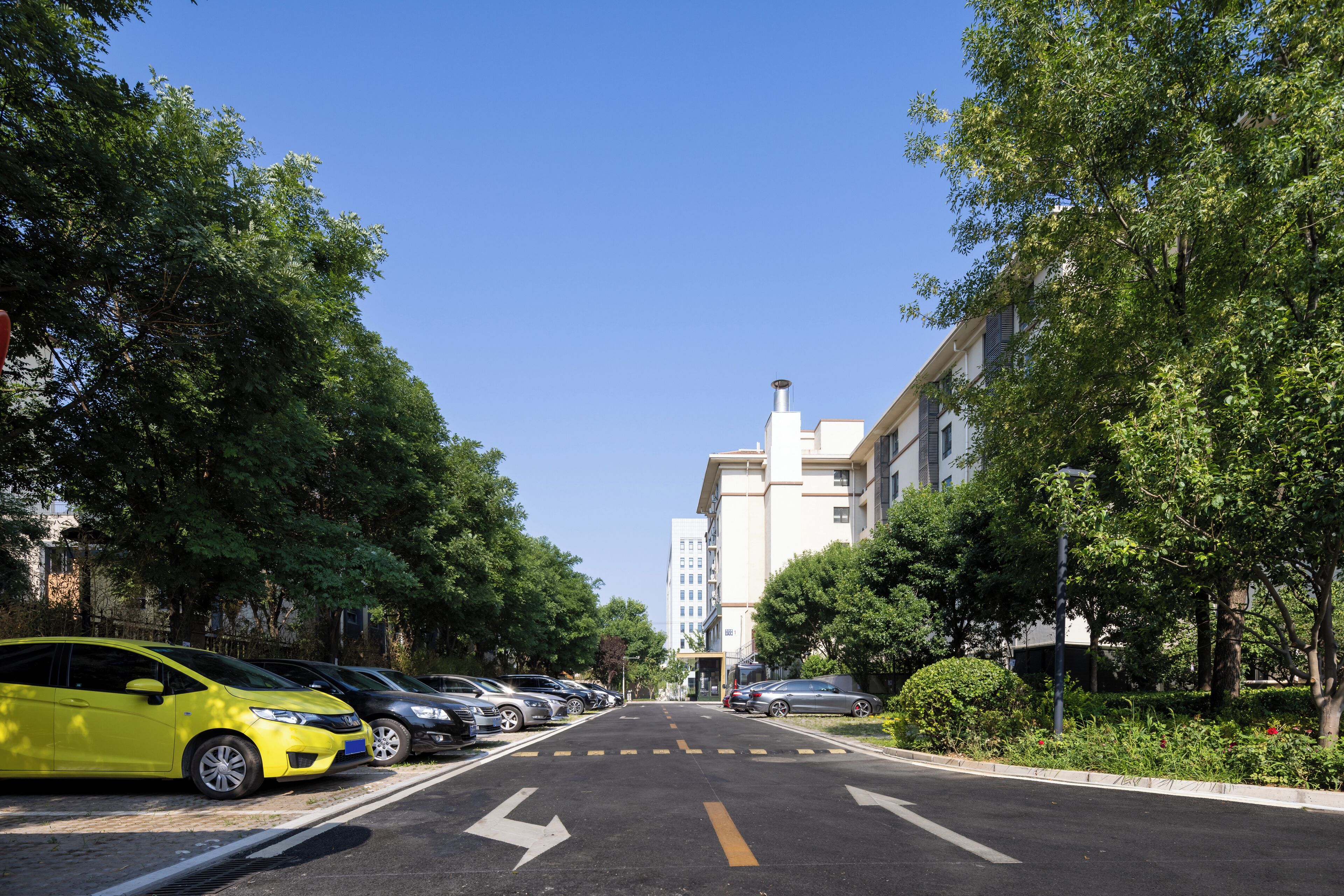 A street lined with parked cars and trees, leading to a building with a clear sky above.