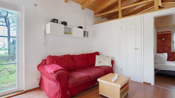 Fernseher, DVD-Player, Tischtennisplatte, Stereoanlage