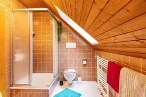 Shower, hair dryer, towels - Ferienwohnung with 40qm (Dachsberg)