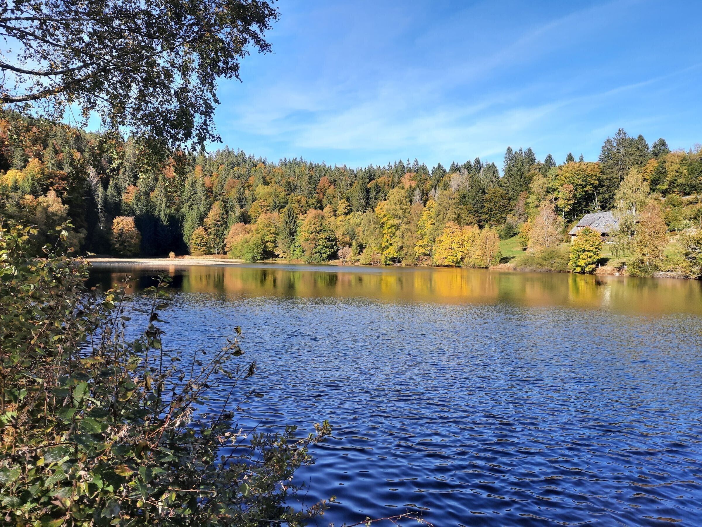 Un lac paisible, bordé d’un feuillage automnal, sous un ciel dégagé.
