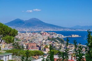 A coastal cityscape with a prominent mountain in the background, featuring a mix of historical and modern architecture. - Quite Shelter in Naples (Naples)