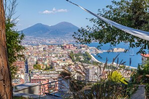 A panoramic view of a coastal city with a prominent mountain in the background, a harbor with ships, and a mix of historical and modern buildings. - Quite Shelter in Naples (Naples)