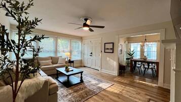 Smart TV, fireplace, books, music library