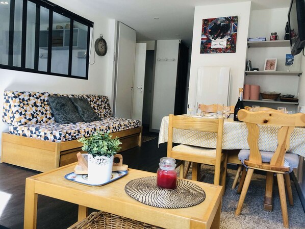 电视、DVD 播放器